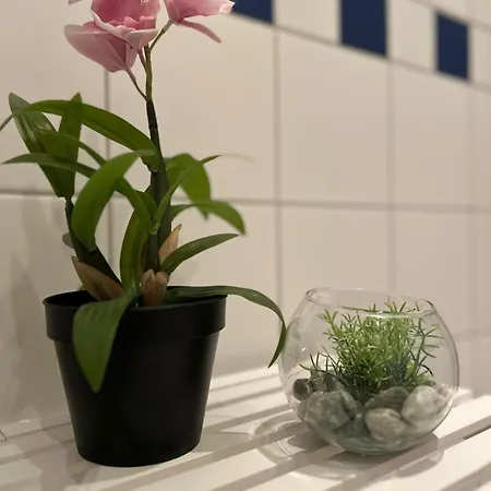 K2-project - Jugendstil - Kassberg Pur Erleben * Chemnitz