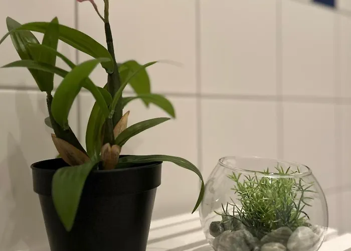 K2-project - Jugendstil - Kassberg Pur Erleben * 开姆尼茨