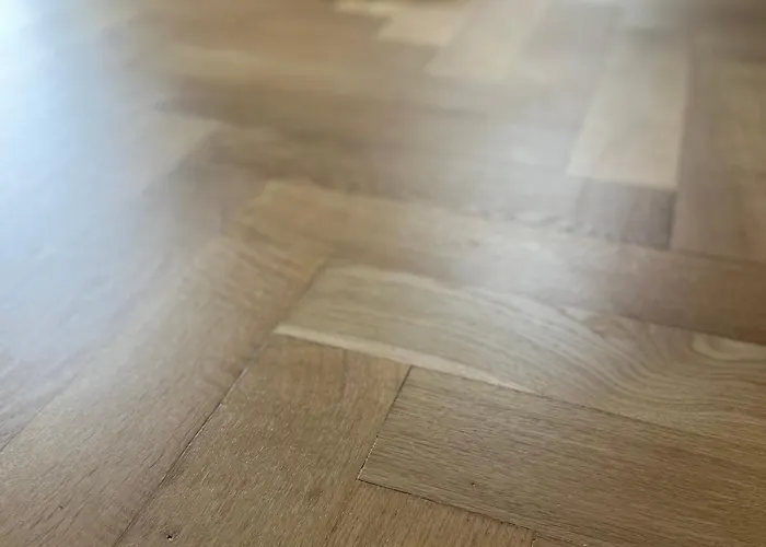 K2-project - Jugendstil - Kassberg Pur Erleben ケムニッツ